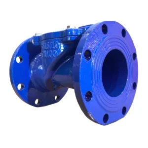 Ductile Iron Manual Power Check Valve for Water Rubber Flap Swing Check Valve with Silicone Disc