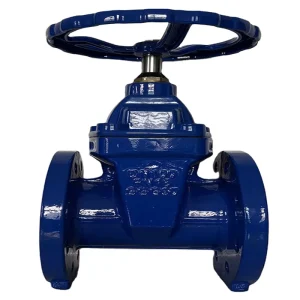 Ductile Iron Manual Wedge Gate Valve with Non Rising Stem British Standard German Standard American Standard Design