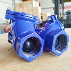 Ductile Iron PN10 PN16 Ball Check Valve Manual Power for Water Gas Oil General Application Threaded Metal Check Valves