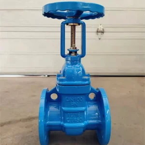 Ductile Iron Rising Stem Hard Seal Gate Valve Manual Flange Connection Water PN10 PN16