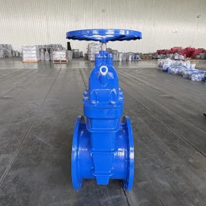 Ductile Iron Soft Seal Gate Valve Flange Connection Manual Water 2 Inch PN10 PN16 Low Temperature