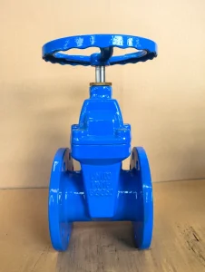 Ductile Iron Soft Seal Gate Valve PN10 PN16 DN40~DN1000 Low Temperature Manual Flange Connection for Water Medium