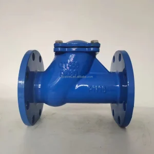 Ductile Iron Spherical Check Valve Professional Sewage Spherical Check Valve Water One way Non backflow Valve