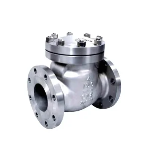 Ductile Iron Stainless Steel Flange Swing Check Valve H44W ANSI GB Standard Heavy Duty Manual Water Port Size 1/2-12