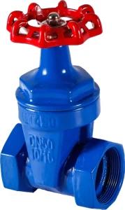 Ductile Iron Threaded Manual Gate Valve Soft Seal National Standard for Water Media Normal Low Temperature 24 Months