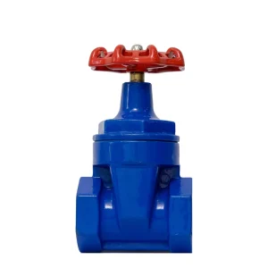 Ductile Iron Threaded Manual High Temperature Gate Valve Soft Seal National Standard Water Media DN50-DN300 3 Year Warranty