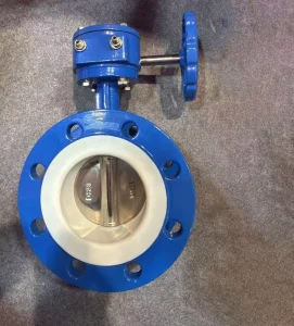 Ductile Iron Valve Body SS304 Valve Disc PTFE Lined Resilient Seal Flange Connected Butterfly Valve with Worm Gear