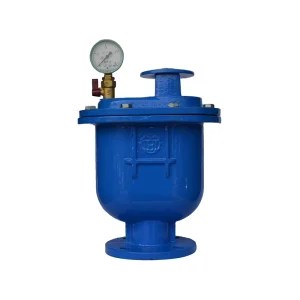 Ductile Iron Vent Valve Flange Connection Combined Type Air Release Valve