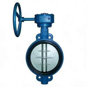 Ductile Iron Wafer Butterfly Valve Gear Operated EPDM Seat for Water Supply Industrial Pipeline Control