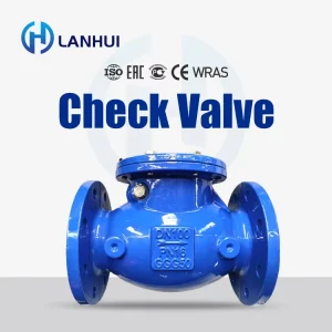 Duction Iron Manual Swing Check Valves Sanitary Valves for High Temperature Water Media