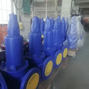 Duplex Stainless Steel Safety Relief Valve 2205 Flanged NACE MR0175 Offshore Sea Water Service