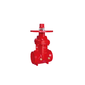 Durable 2-12 Inch Gate Valve Resilient Wedge NRS Gate Valve Grooved End Ductile Iron Casting Steel Valve