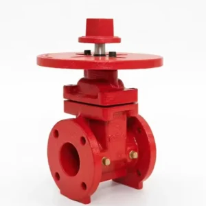 Durable 2 12 inch Gate Valve Resilient Wedge NRS Gate Valve Flanged End Ductile Iron Casting Steel Valve