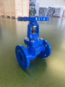 Durable Ductile Iron Globe Valve Manual PN10 PN16 DN15 DN300 Flange Connection For Water Pipeline LANHUI Brand
