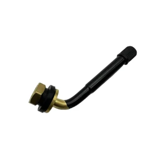 Durable TR417 Truck Tire Valve Stem Brass Tire Valve with Caps and Adapters