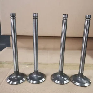 EB300 EB400 Engine Spare Parts Intake and Exhaust Valve 13711 1091A 13715 1122A