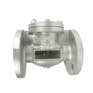 EN16FCO Iron Swing Flanged Check Valves 4INCH 6INCH Compressed Air Metal Check Valves for Water Oil Natural Gas