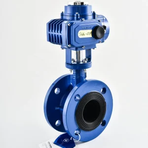 Electric Actuated Butterfly Valve DN50 DN80 DN100 24V 220V On Off Regulating Cast Iron Flange Connection D941X