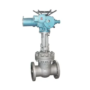 Electric Flanged Gate Valve