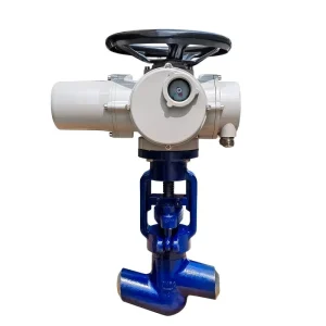 Electric Power Station Globe Valve (DK J961Y) High Pressure Butt Weld DELCO