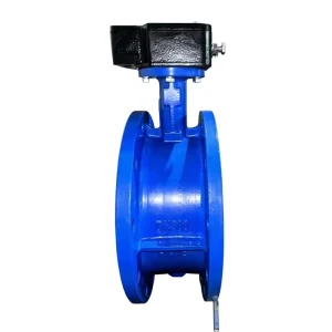 Electric Water Butterfly Valve D341X-16C/D341J-16P Soft Seal Rubber Lining DN300 304 Moderate Temperature
