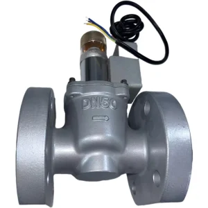 Electromagnetic Gas Emergency Shut-off Valve with Stop Structure PVC Disc Cast Iron Bonnet Model DRQF-50-0.4/BTFNEC 220V DN50
