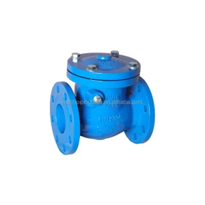 En 16767 Flanged Swing Check Valve BS En 1092-2 Manual Water Pn10 Pn16 2″-12″ Medium Temperature for Industrial