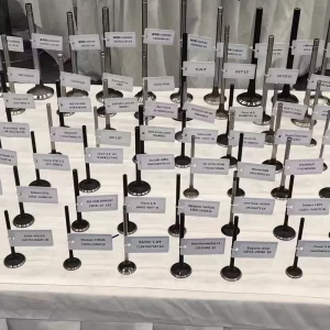 Engine Valves