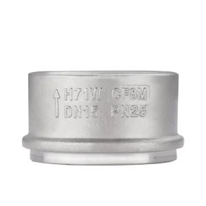 Environmental Protection Material Stainless Steel 201 Spring Body Wafer Check Valve DN15-DN150 PN1.6-6.4Mpa ISO9001/CE Certified