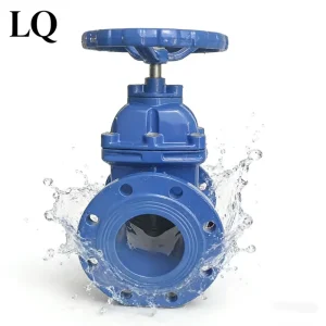 F4 German Standard Flange Elastic Seat Seal Valve Ductile Iron DN80 Water Gate Valve