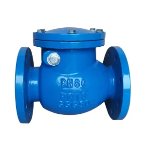 F6 Manual Ductile Iron Water Swing Check Valve Non Return Valve DN40-600