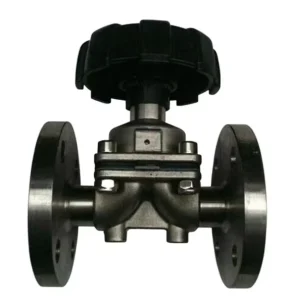 FDA Compliant 316L Stainless Steel Flange Diaphragm Valve Zero Leakage OEM Customizable