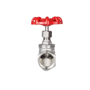 Factory 316 Stainless Steel Threaded Manual Shutoff Globe Valve 1 2″ 4″ Port Size Fnpt X Fnpt Connection 3 Year Warranty for