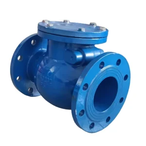Factory Cast Iron Flange Swing Check Valve for Water
