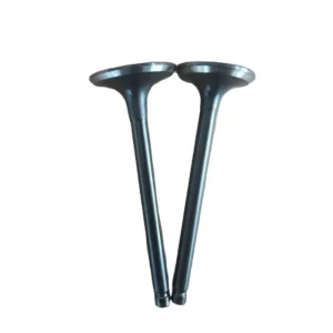 Factory Customized 13711 87701 13715 87701 AB CB Intake Exhaust Valves Valve Tappets Engine Spare Parts for Daihatsu Hijet