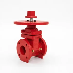 Factory Direct 2 12 inch Gate Valve Resilient Wedge NRS Gate Valve Flanged End Ductile Iron Casting Steel Valve