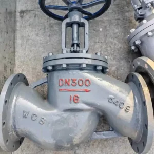 Factory Direct Angle Globe Valve F316L Class 800 DN25 Precision Regulation Flow Under Plug for High Pressure Drop