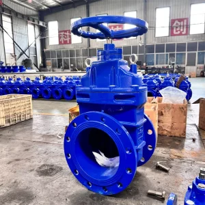 Factory Direct ODM/OEM/Different Size Soft or Hard Seal Ductile Iron Water Gate Valve for Industrial Use