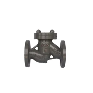 Factory Direct Sale Carbon Steel WCB Manual Water Hard Seal Flange Connection Check Valve