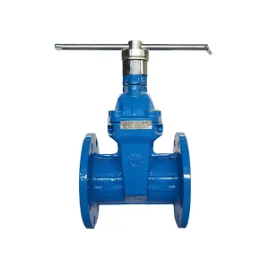 Factory Direct Sale Manual Ductile Iron Body Gate Valves Rubber Seated Flange Connection PN16 ISO9001 CE Certified