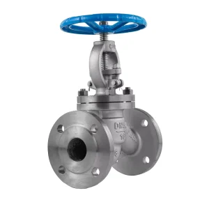 Factory Direct Stainless Steel Globe Valve for Chemical and High Temperature Applications Plug Type