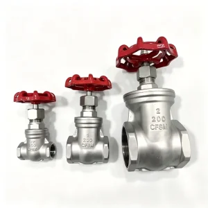 Factory Direct Stainless Steel Internal Thread Gate Valve Corrosion Resistant Industrial Shut Off Valve