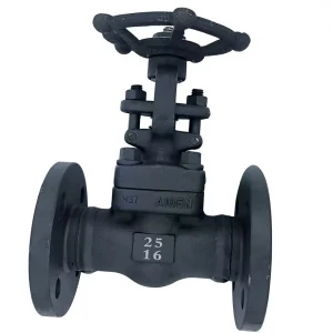 Factory Direct Supply Manual Water Forged Steel High Temperature Wedge Ram Gate Valve Z41H 25C Z40H 150LB American Standard High