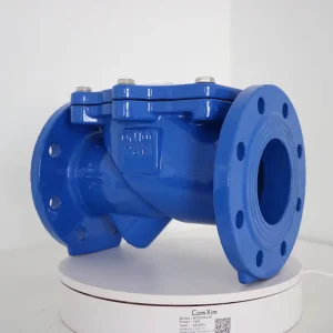 Factory Discount Ductile Iron Rubber Wrap Disc Flap Check Valves for Water
