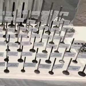 Factory Engine Valve