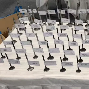Factory Engine Valves