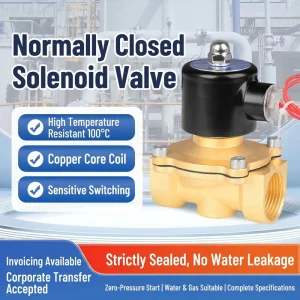 Factory Hot Sell High Quality Normally Closed Brass Solenoid Valve for Hot Water Air Oil