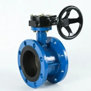 Factory Manual Flange Type Worm Gear Resilient Seated High Temperature Butterfly Valve for Municipality