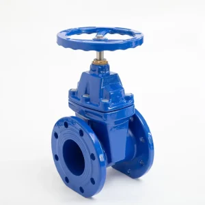 Oem/odm Ductile Iron Flanged Non-rising Stem Soft Seal Gate Valve for Water