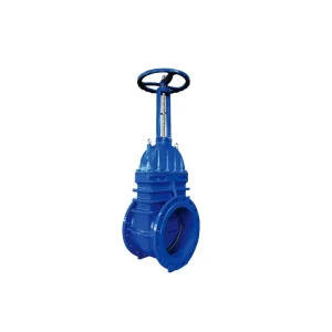 Factory Manufacture Large Size Hard Seal Wedge Gate Valve Manual Electric Gate Valve Cast Iron Flanged Rising Stem Gate Valve